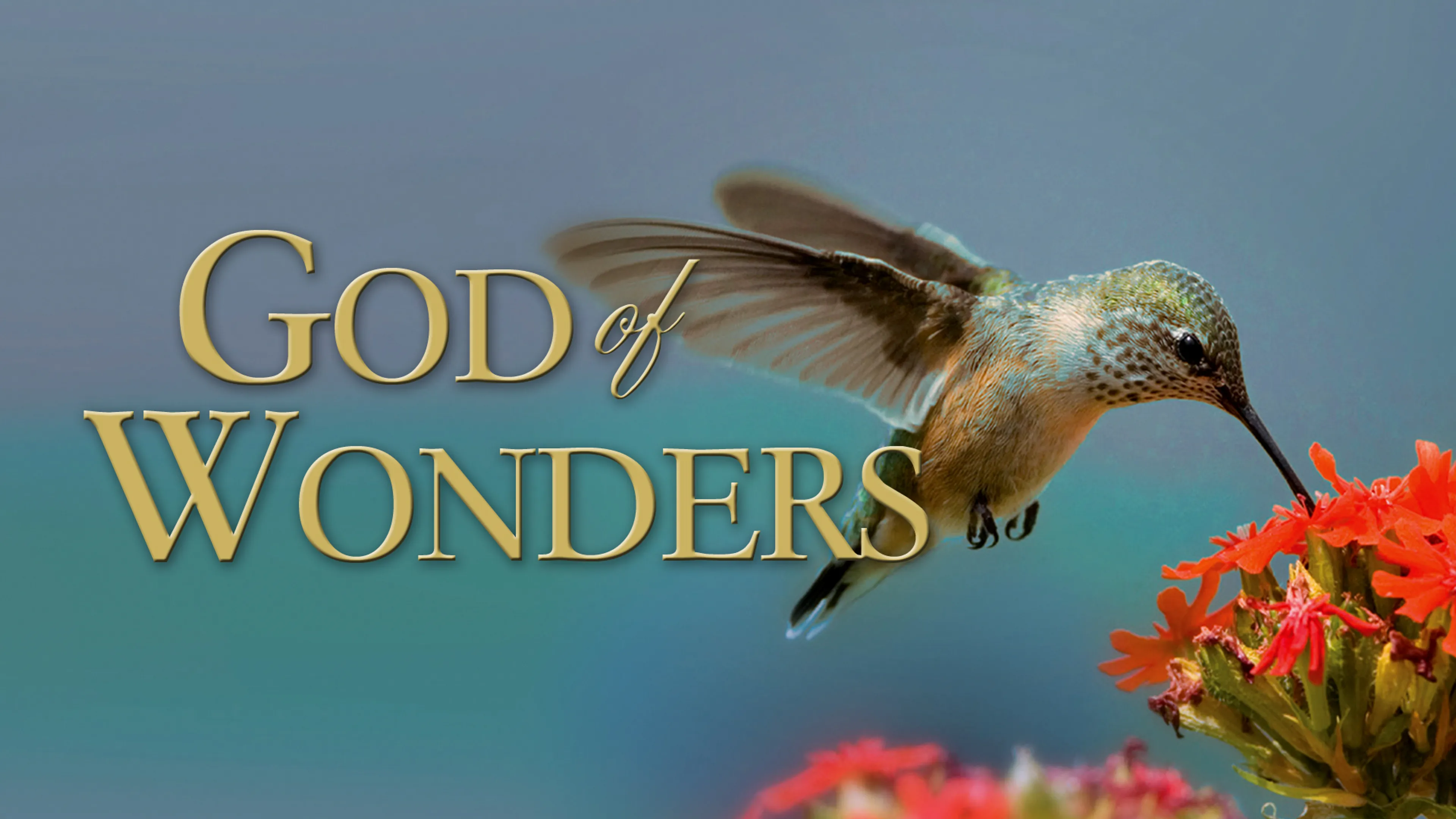 God Of Wonders poster